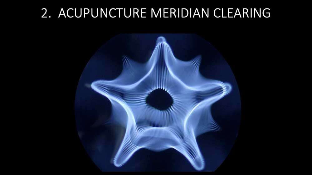 acupuncture meridian clearing cymatics Cymatherapy: Restoring the Core Resonant Frequency to <br>Heal Body Organs & the Human Structural Energy Field<br> Part 3 of the 2023 Resource Guide Vesica Institute for Holistic Studies
