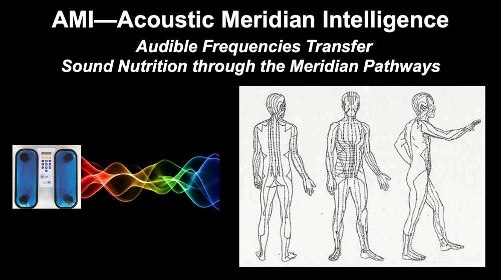 ami acoustic meridian intelligence Cymatherapy: Restoring the Core Resonant Frequency to <br>Heal Body Organs & the Human Structural Energy Field<br> Part 3 of the 2023 Resource Guide Vesica Institute for Holistic Studies