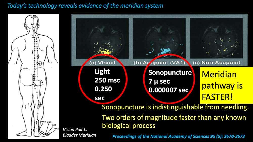 meridian system Cymatherapy: Restoring the Core Resonant Frequency to <br>Heal Body Organs & the Human Structural Energy Field<br> Part 3 of the 2023 Resource Guide Vesica Institute for Holistic Studies