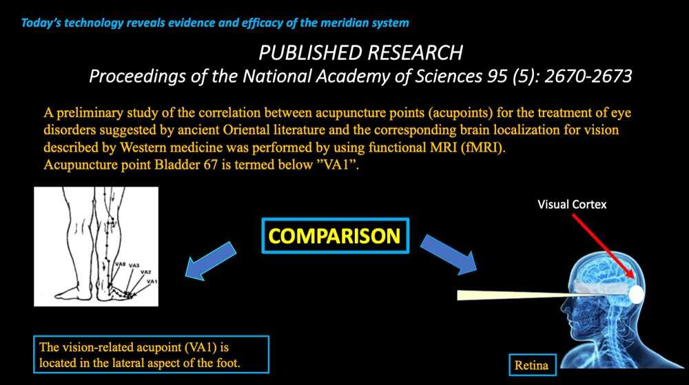 meridian system research Cymatherapy: Restoring the Core Resonant Frequency to <br>Heal Body Organs & the Human Structural Energy Field<br> Part 3 of the 2023 Resource Guide Vesica Institute for Holistic Studies