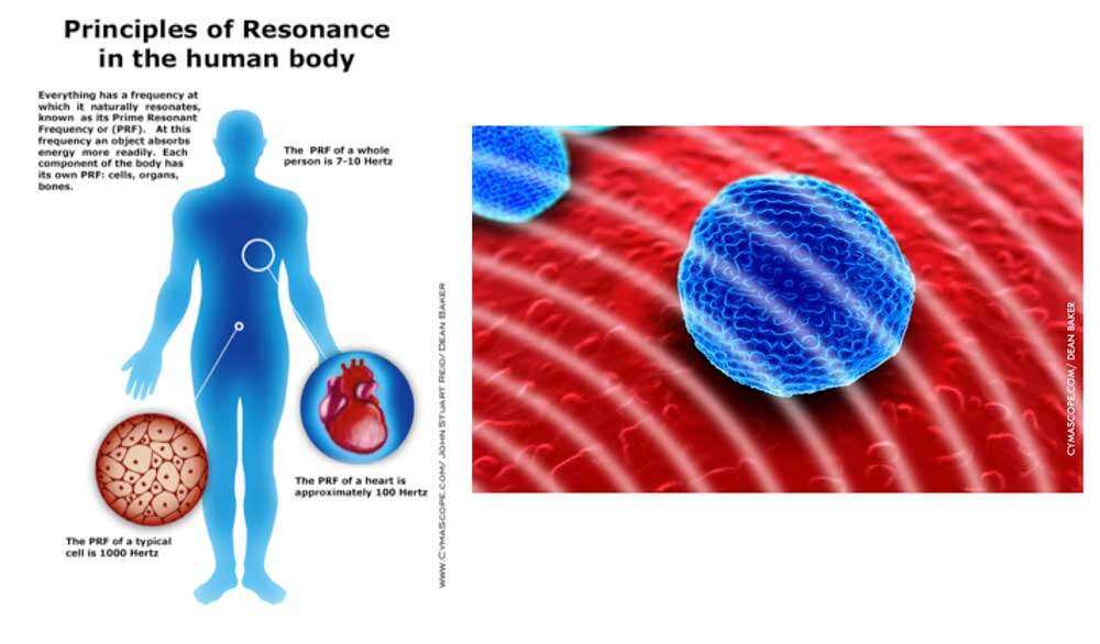 resonance in the human body Cymatherapy: Restoring the Core Resonant Frequency to <br>Heal Body Organs & the Human Structural Energy Field<br> Part 3 of the 2023 Resource Guide Vesica Institute for Holistic Studies