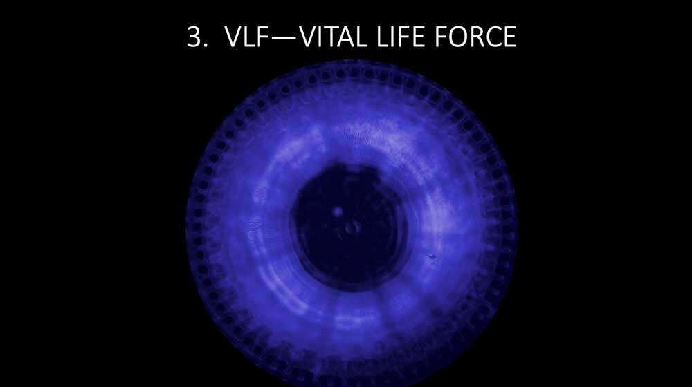 vital life force cymatics Cymatherapy: Restoring the Core Resonant Frequency to <br>Heal Body Organs & the Human Structural Energy Field<br> Part 3 of the 2023 Resource Guide Vesica Institute for Holistic Studies