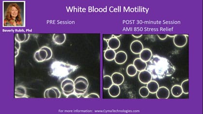 White Blood Cell Motility Many People Ask: Frequently Ask Cymatherapy Questions Vesica Institute for Holistic Studies