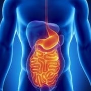 The Hidden Key to Digestive Health