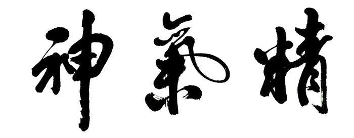jing chi shen The Three Treasures: Jing, Chi and Shen Vesica Institute for Holistic Studies Jin Chi Shen