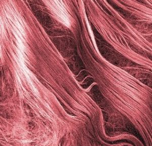 rose quartz fibers The Crystal "Adaptogen" for Recharging and Grounding Vesica Institute for Holistic Studies Rose Quartz fibers