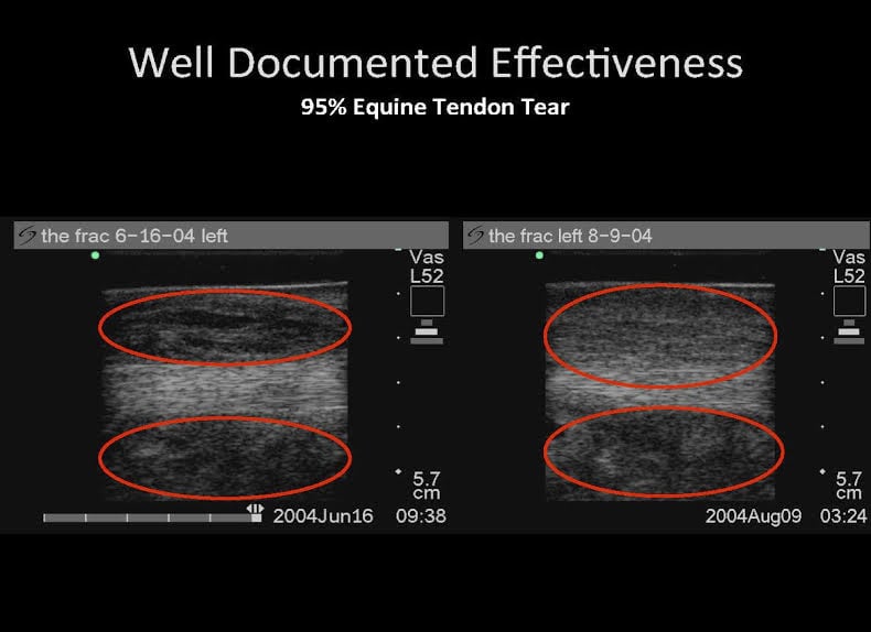 95% Equine tedon tear