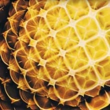 Cymatics 2