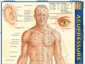 accupressure chart Acupressure Chart Vesica Institute for Holistic Studies