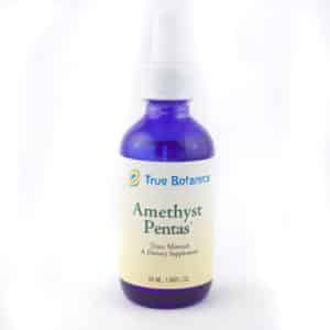 Amethyst Spirit Quartz Pentas, True Botanica