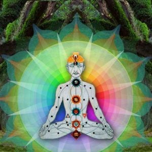 Vibrational Science Courses