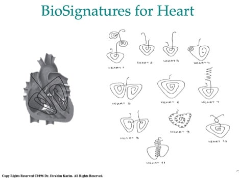 BioSignatures-for-heart