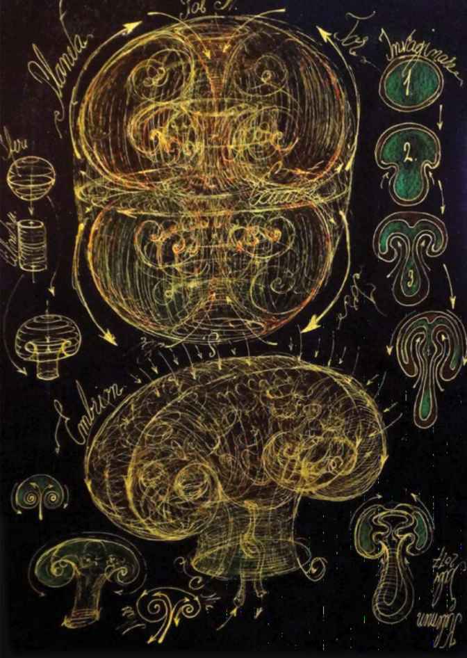 Kel draw From Sphere stages of Torus to Fetus Rare Sacred Geometry Books from Romania Vesica Institute for Holistic Studies