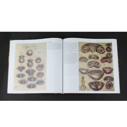 The Universality of the Sphere Vortex Principle by Gabriel Kelemen 3 Rare Sacred Geometry Books from Romania Vesica Institute for Holistic Studies The Universality of the Sphere Vortex Principle by Gabriel Kelemen 3 Rare Sacred Geometry Books from Romania Vesica Institute for Holistic Studies