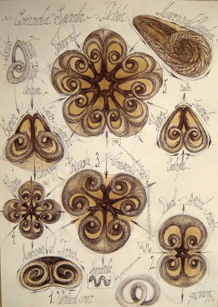 kel draw trifoil knot variants Rare Sacred Geometry Books from Romania Vesica Institute for Holistic Studies kel draw trifoil knot variants Rare Sacred Geometry Books from Romania Vesica Institute for Holistic Studies