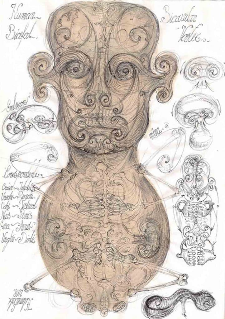 Kel draw face spirals Creating the Human Face from Vibrational Waves: New Images from Romania Vesica Institute for Holistic Studies