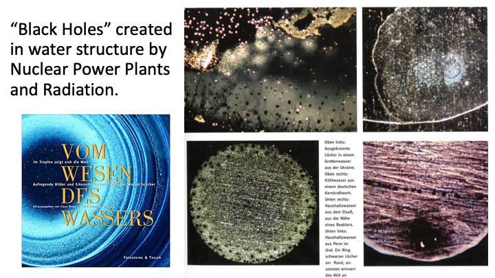 Slide021 Evidence for Hidden Waves which create Health and Illness: Online Summer Conference preview with Robert J. Gilbert Ph.D. Vesica Institute for Holistic Studies Slide021 Evidence for Hidden Waves which create Health and Illness: Online Summer Conference preview with Robert J. Gilbert Ph.D. Vesica Institute for Holistic Studies