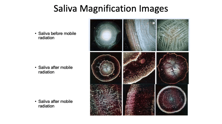 Slide034 Evidence for Hidden Waves which create Health and Illness: Online Summer Conference preview with Robert J. Gilbert Ph.D. Vesica Institute for Holistic Studies Slide034 Evidence for Hidden Waves which create Health and Illness: Online Summer Conference preview with Robert J. Gilbert Ph.D. Vesica Institute for Holistic Studies