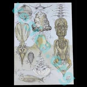 Universal Gravitational Pulse (Arhetipul), 18" x 24" Keleman Art Print