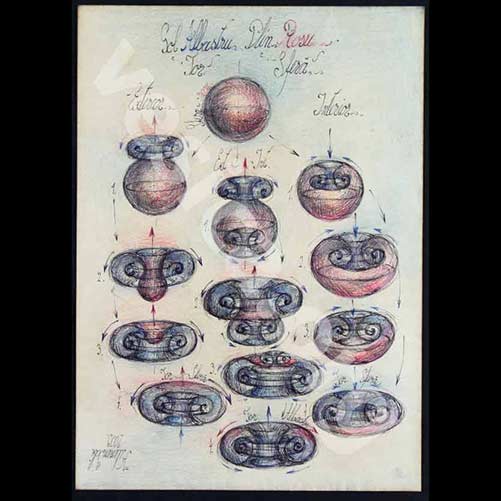 WM Sfera Vortex Tor SEER® Vesica Institute for Holistic Studies