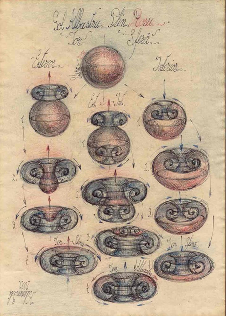 kel draw torus variants 1 Creating the Human Face from Vibrational Waves: New Images from Romania Vesica Institute for Holistic Studies