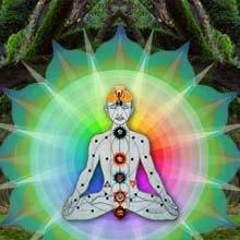 vibrational testing and healing 220 Online Courses Vesica Institute for Holistic Studies