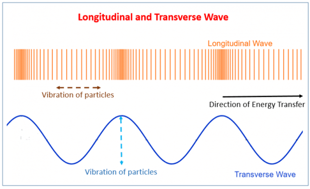 Picture7 The Quantum Revolution in Healing: Wave Transmission of Biological Health or Illness Effects <br>Part 1 of the 2023 Resource Guide Vesica Institute for Holistic Studies