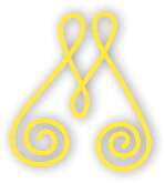 biosignature 2 BioGeometry® Foundation Training Online: <br>November 2023 Vesica Institute for Holistic Studies