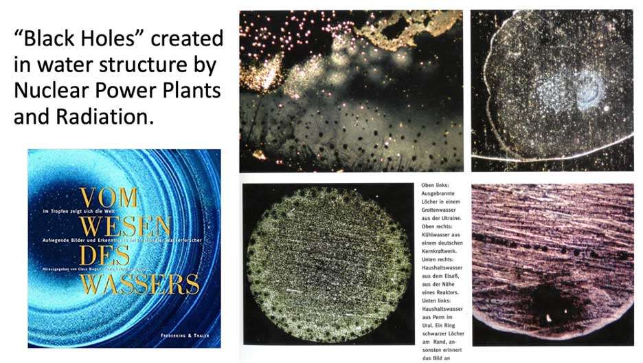 black holes part 1 The Quantum Revolution in Healing: Wave Transmission of Biological Health or Illness Effects <br>Part 1 of the 2023 Resource Guide Vesica Institute for Holistic Studies