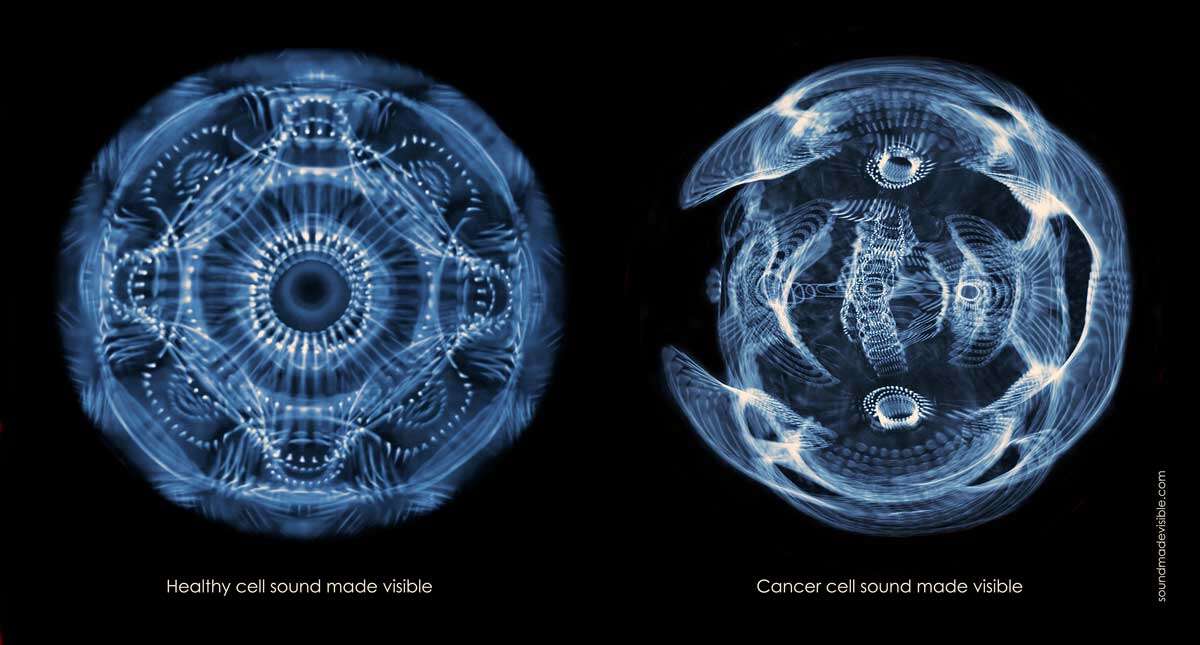 cymatics john stuart reid cell Cymatics: Making Invisible Energy Waves Visible <br>Part 2 of the 2023 Resource Guide Vesica Institute for Holistic Studies