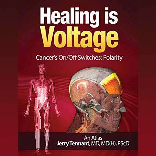 jerry tennant voltage is healing The Vesica 2023 Resource Guide Vesica Institute for Holistic Studies