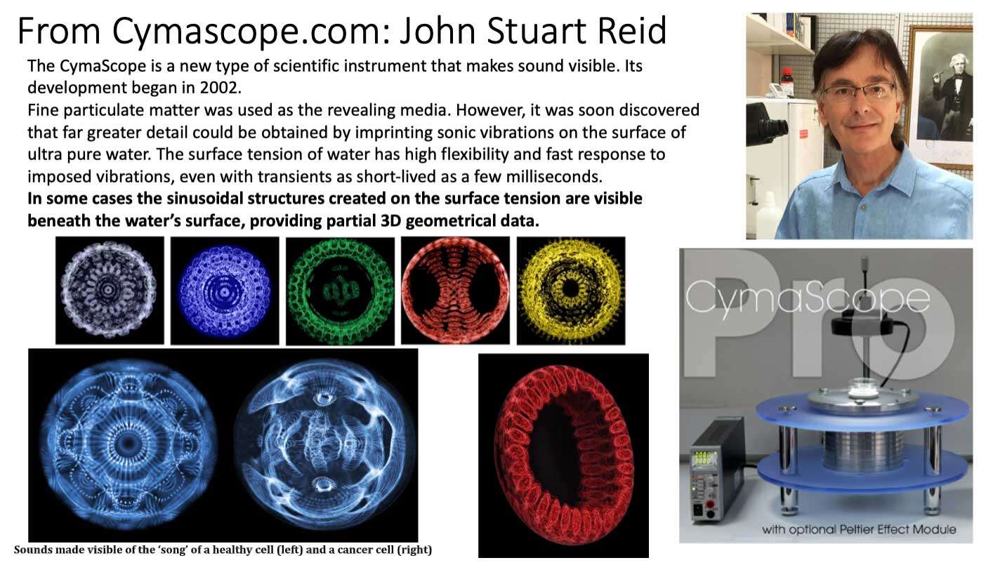 john stuart reid cymascope slide Cymatics: Making Invisible Energy Waves Visible <br>Part 2 of the 2023 Resource Guide Vesica Institute for Holistic Studies