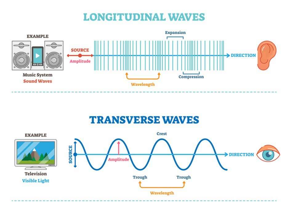 longitudinal and tranverse waves part 2 The Quantum Revolution in Healing: Wave Transmission of Biological Health or Illness Effects <br>Part 1 of the 2023 Resource Guide Vesica Institute for Holistic Studies