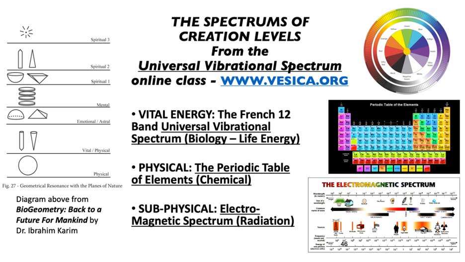 spectrum of creation levels The Quantum Revolution in Healing: Wave Transmission of Biological Health or Illness Effects <br>Part 1 of the 2023 Resource Guide Vesica Institute for Holistic Studies