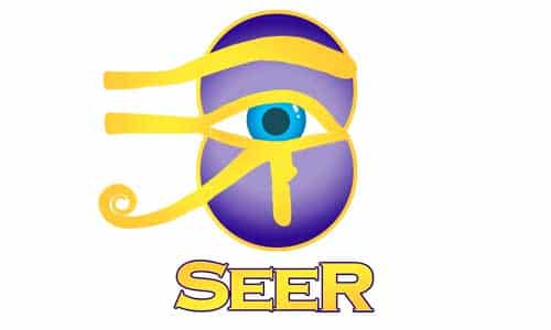 Vesica Institute seer logo newer with Home Vesica Institute for Holistic Studies