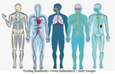 Blog Bodies Many People Ask: Frequently Ask Cymatherapy Questions Vesica Institute for Holistic Studies