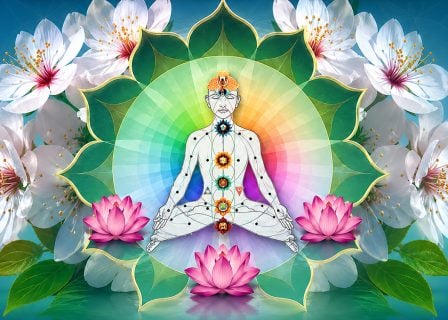 vesica-course-sale-2026-end